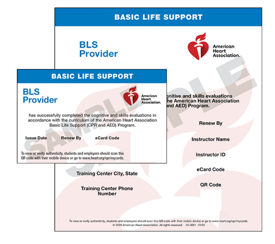 AHA BLS (CPR) Provider Certificate Course (Heartcode online + Hands-on)