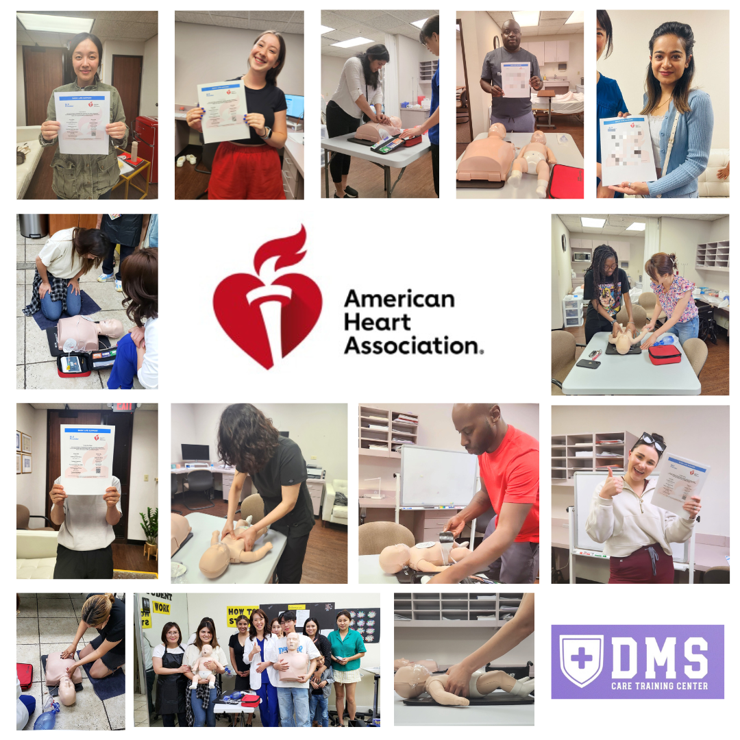 AHA BLS (CPR) Provider Certificate Course (Lecture+ Hands-on)