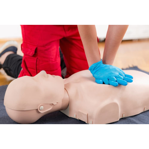 AHA BLS (CPR) Provider Certificate Course (Lecture+ Hands-on) 심폐소생술 자격증