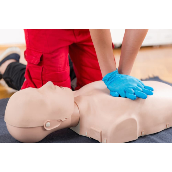 AHA BLS (CPR) Provider Certificate Course (Lecture+ Hands-on)