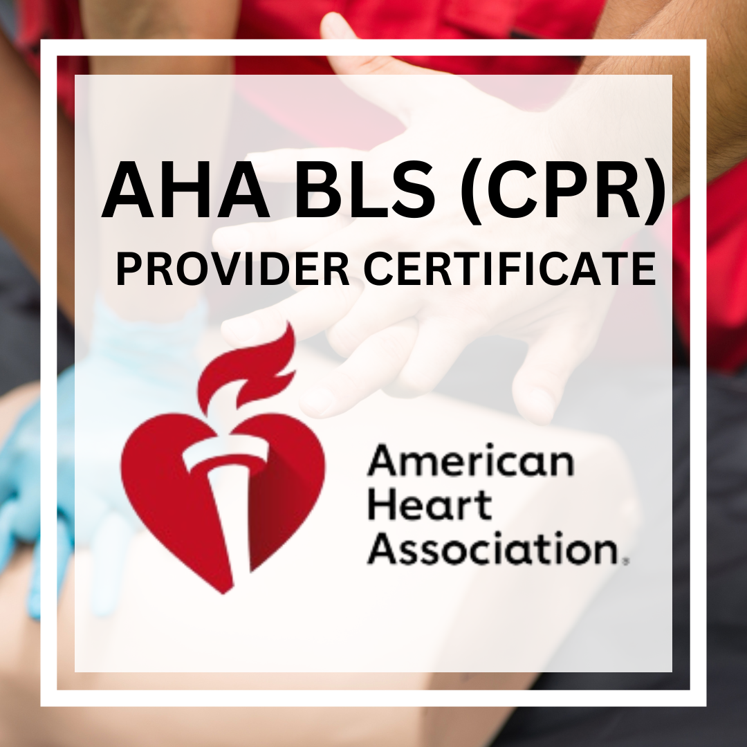 AHA BLS (CPR) Provider Certificate Course (Lecture+ Hands-on)