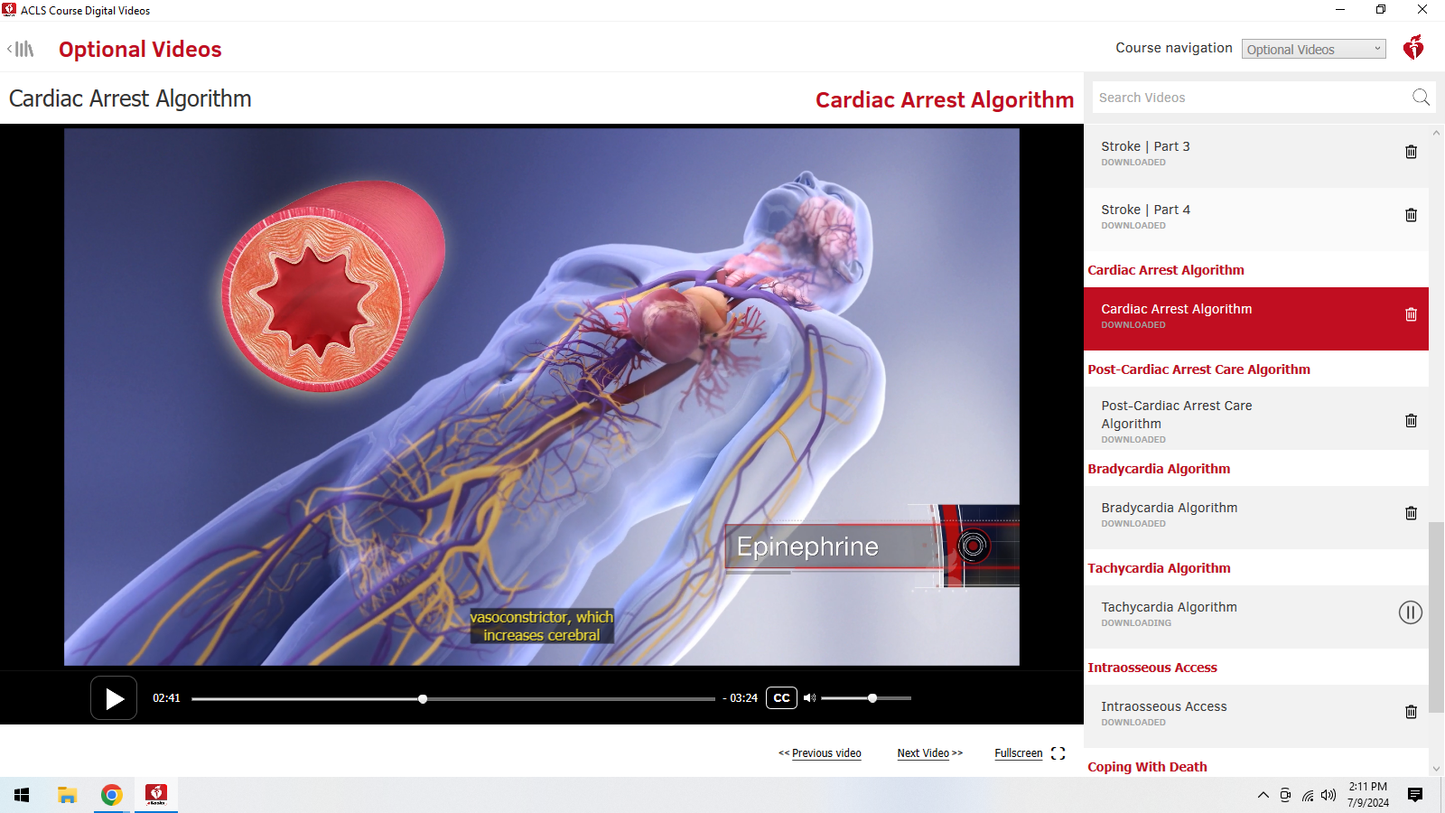 Curso de certificación de proveedor de ACLS de la AHA (conferencia y práctica, 4 horas)